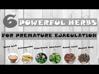 6 powerful herbs in best premature ejaculation cure medicine