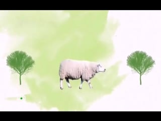 Kazan mangal so stalikom hankishievym 127 utka po pekinski 2017