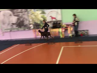 Tomskiy strazh liberty queen