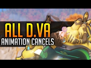 All animation cancels