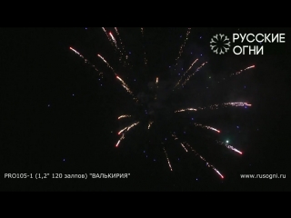 Pro105 1 валькирия (1,2x120)