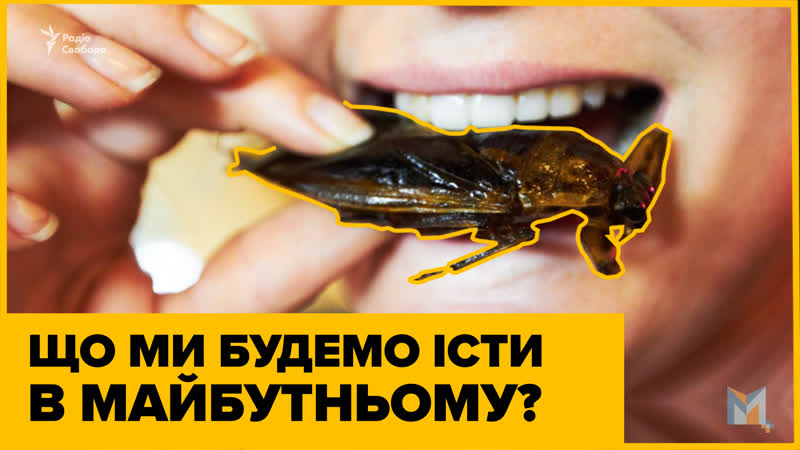 Що ми будемо їсти в майбутньому?
