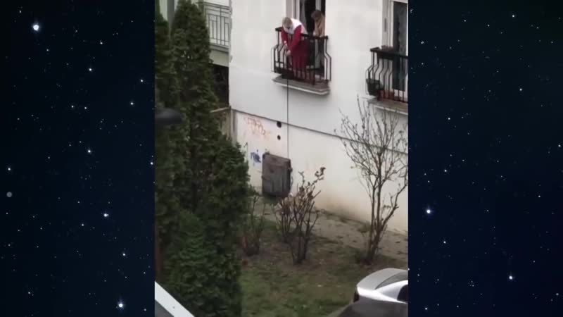 Выгул молодые на карантине