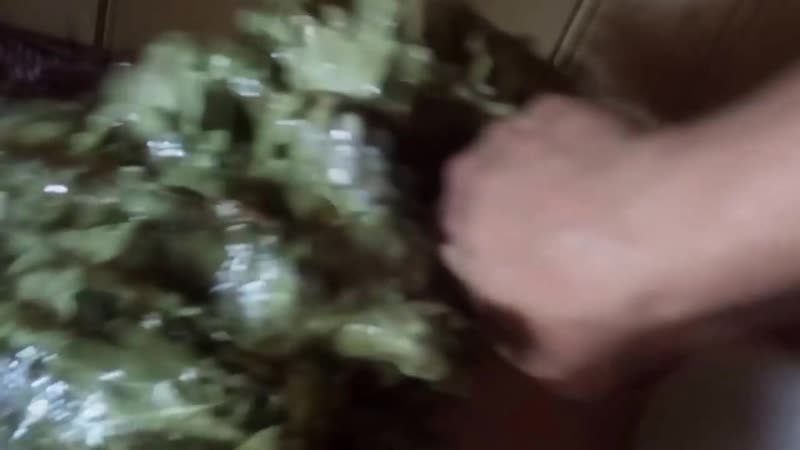 Молодые в русской бане моемся, паримся вениками, натираемся мёдом bathing childr