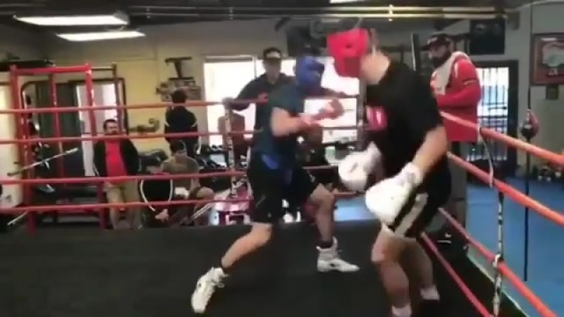 Неплохая боксерская защита корпусом