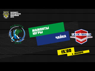 Live! париматч мхл «мамонты югры» «чайка» ( – 1500)