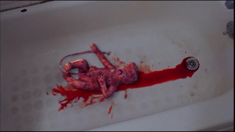 Дурная биология (bad biology) 2008
