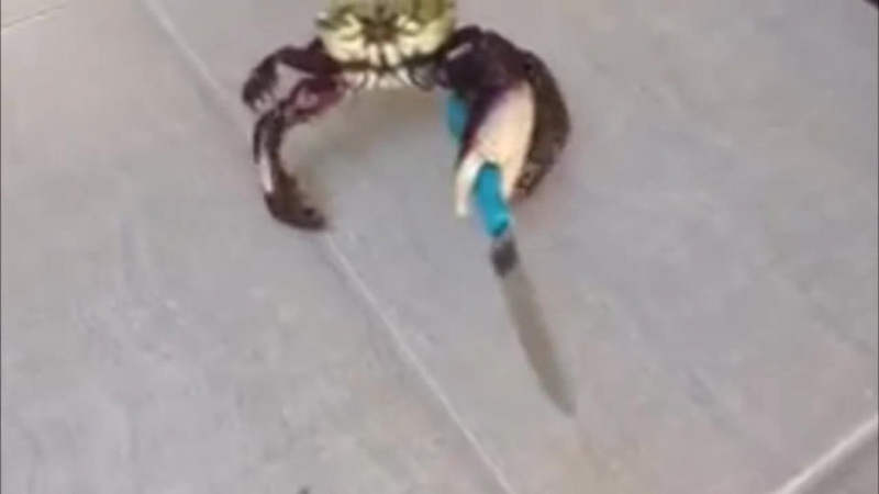 Угомонись да