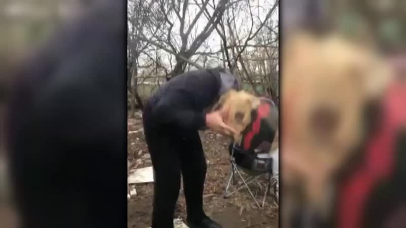 Русский отпуск самые шокирующие гипотезы