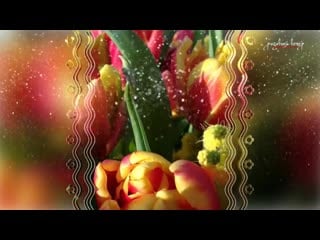 Obaldennaya krasivaya pesnya na 8 marta super pozdravlenie 8 marta (videomega ru) mp4