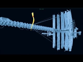 Pbs nova фракталы погружение в скрытую размерность [ fractals hunting the hidden dimension ] 2008