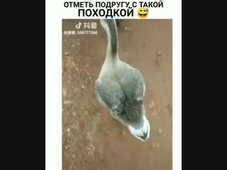 Видео от илнура ирнусовича