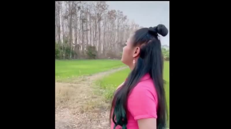 Stepan (rock version)