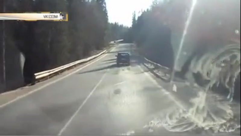 Жестокий водитель привязал молодые к машине на трассе в карелии
