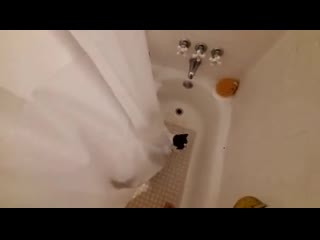 Can't shоwеr in privaсy in this hоusе