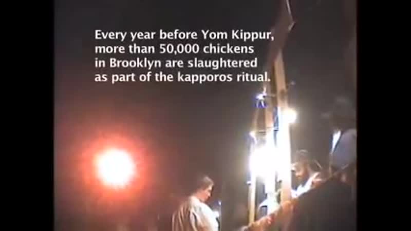 Ritual porn video – Jew ritual