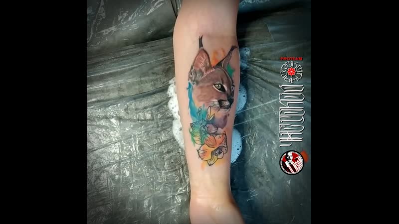 Каракал (bronson art)