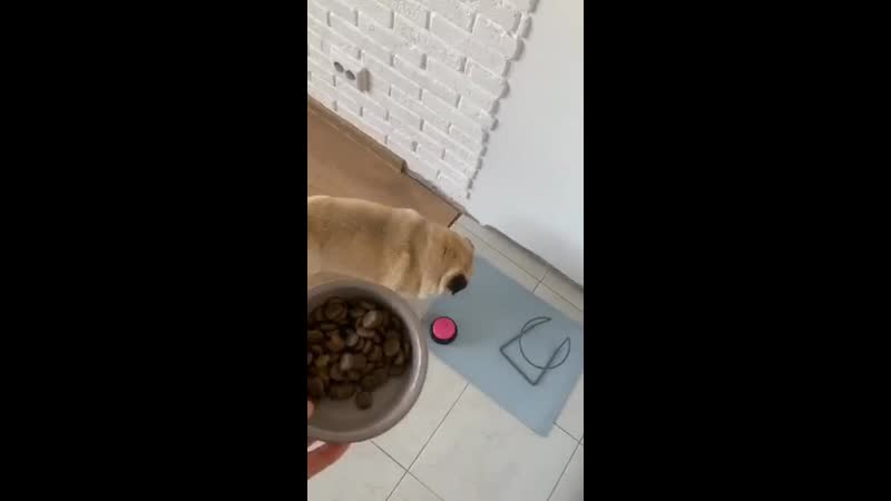 Доходчиво объясняет 😂