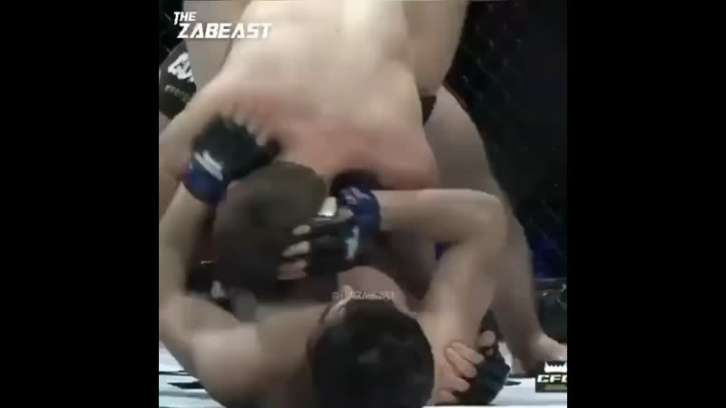 Хасан магомедшарипов