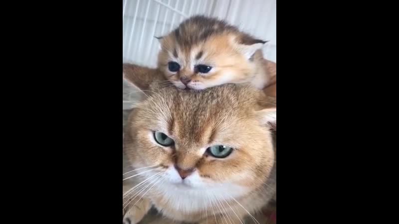 The beginning of fatherhood