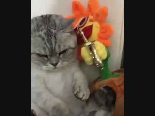 Друг, который всегда полон энергии (vhs video)