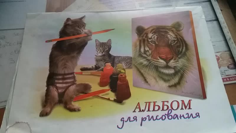 Тигр войдите обзор альбома
