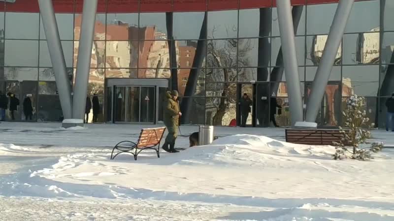 Кинолог