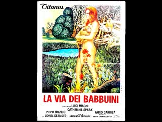 La via dei babbuini (1974) 720p