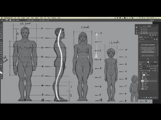 How to draw human anatomy by aaron blaise body proportions