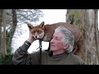 Nature meets nurture as patsy’s foxes become pets