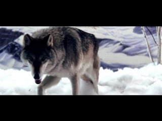 006 calvin harris pray to god ft haim