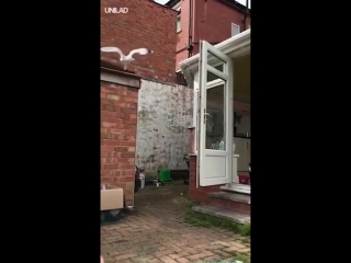 Незваный гость (vhs video)