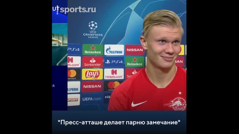 Ленивый холанд