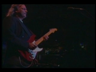Pink floyd & candy dulfer shine on you crazy diamond (knebworth 1990)