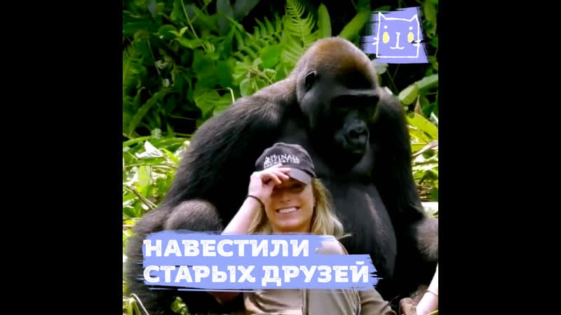 Қара жігітке байланған қыз