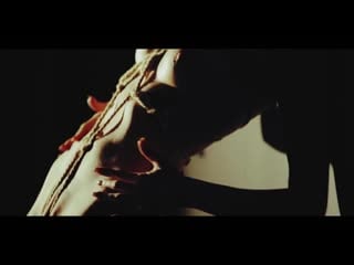 Aquarius signs of the zodiac