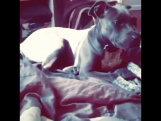 Daveigh chase on instagram "shes a real gem, our little diamond"