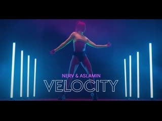 Nerv & aslamin velocity