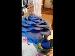 Vid 20201012 162650 mp4