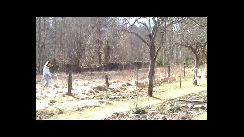 Зорлап сыгу