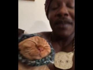 Immoshow and dj ravioli cat song