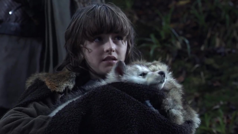 Как джону сноу достался лютоволк призрак