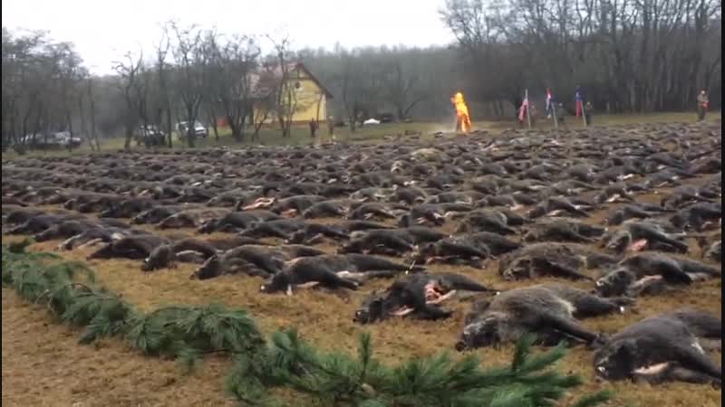 Славная была охота 1