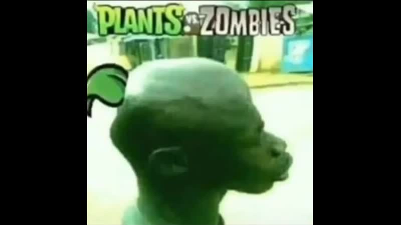 Plants vs zombies