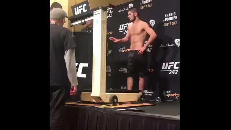 Хабиб нурмагомедов на взвешивании