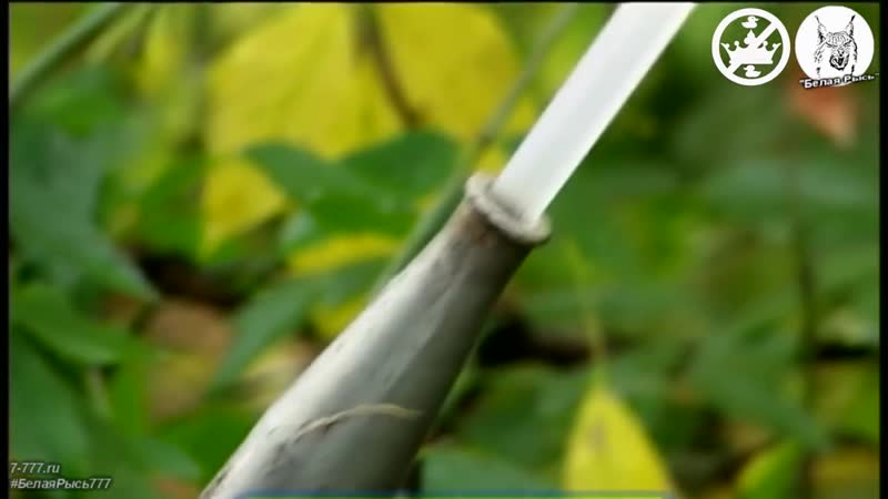 [белая рысь] 😲 закон о принудительном сносе домов