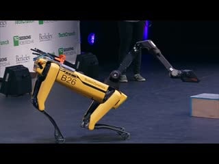 Best robots marc raibert boston dynamics