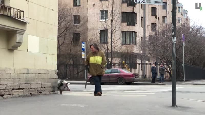 Дульсинея звезда центрального района