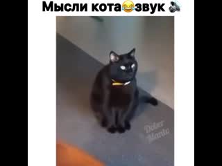 Щас как драпану со всей дури