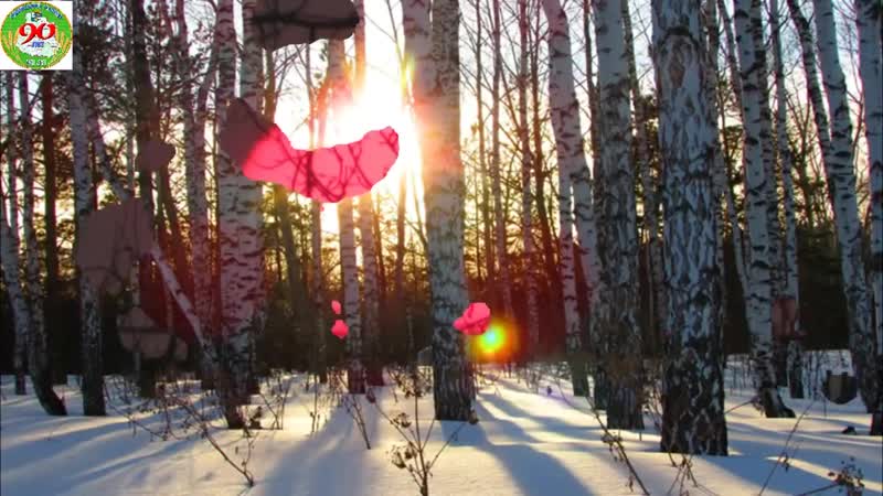 Видеоэкскурсия «тихая моя родина»